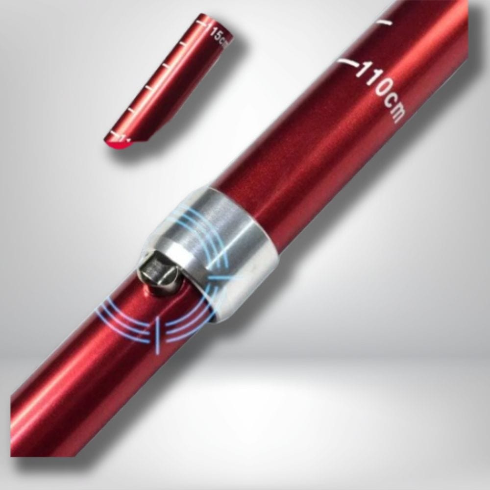 baton de marche carbone