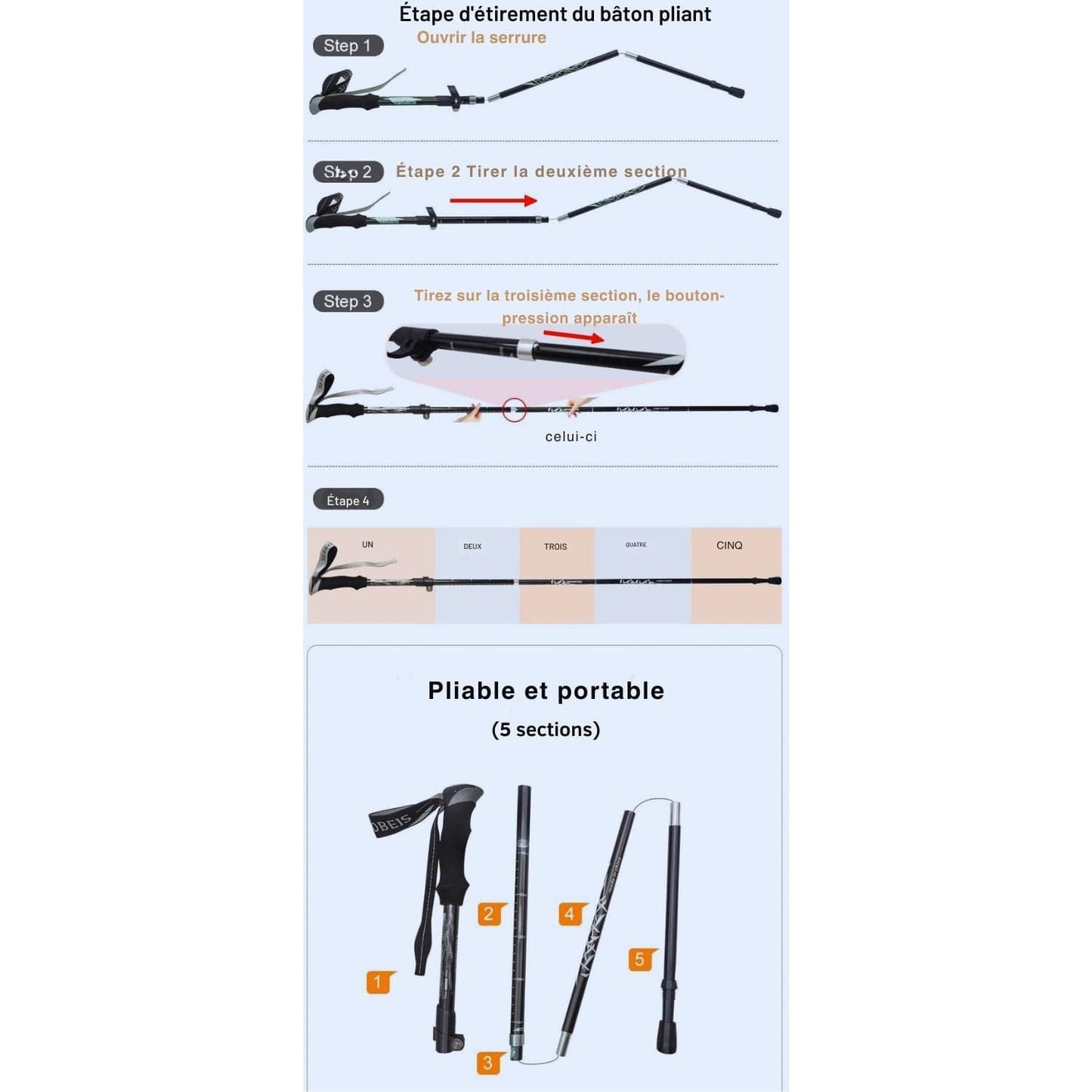 baton randonnée | montagne