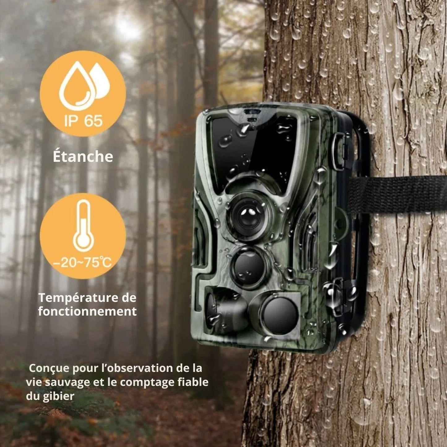 caméra de chasse batterie rechargeable HunterEye X20