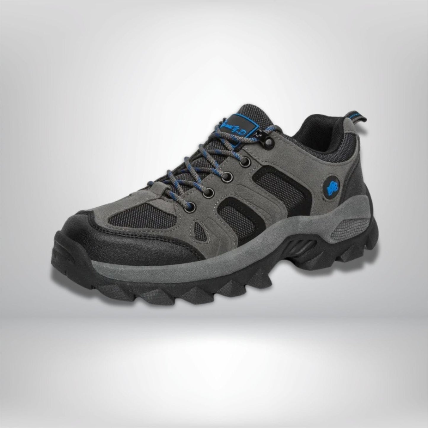 chaussures trekking homme Gris / 38