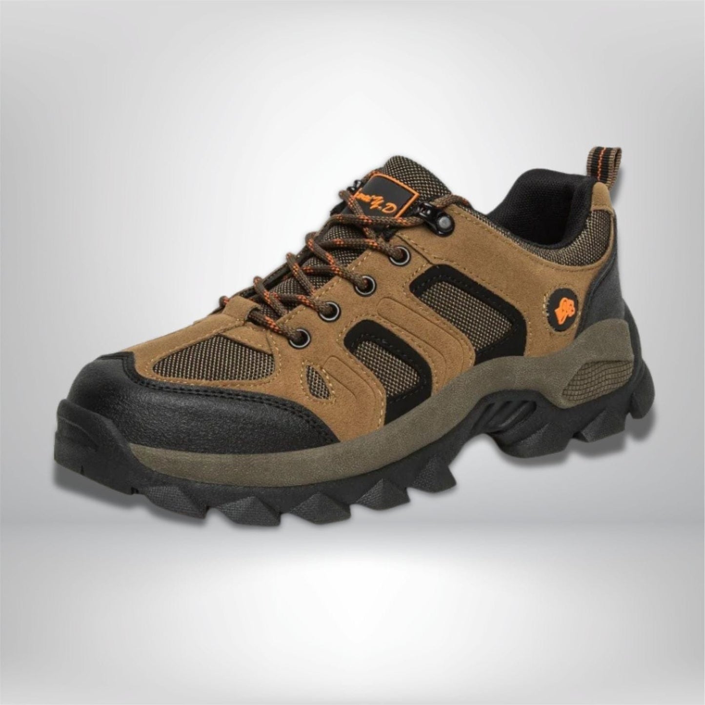 chaussures trekking homme Marron / 38