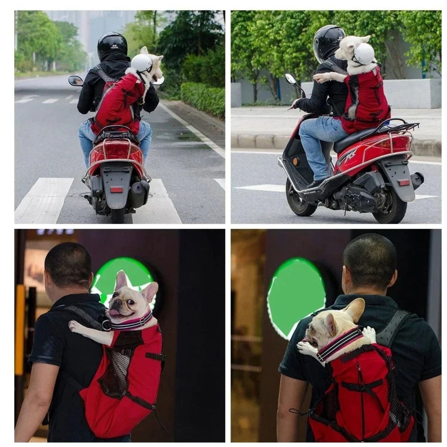 Sac Porte Chien Randonnée