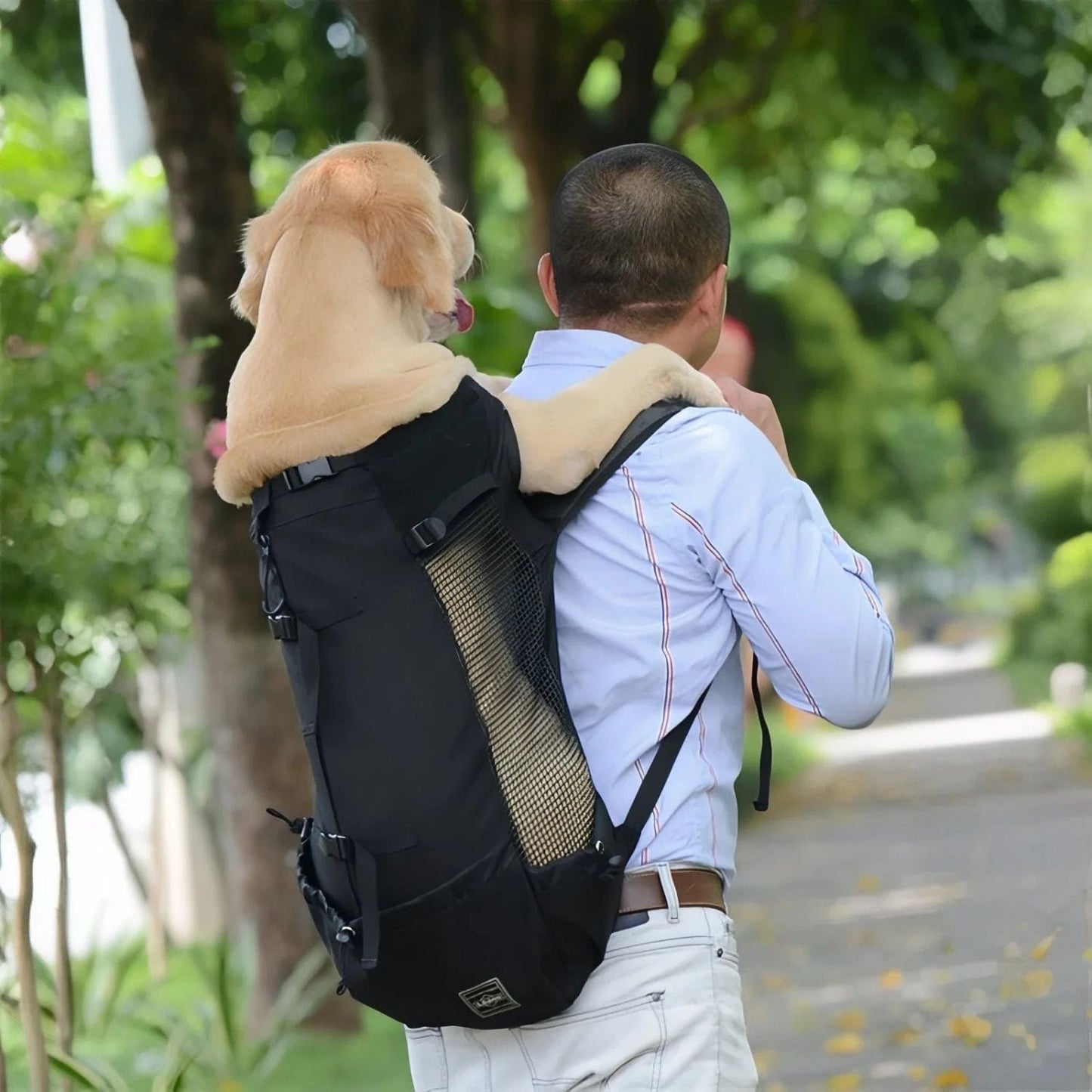 Sac Porte Chien Randonnée