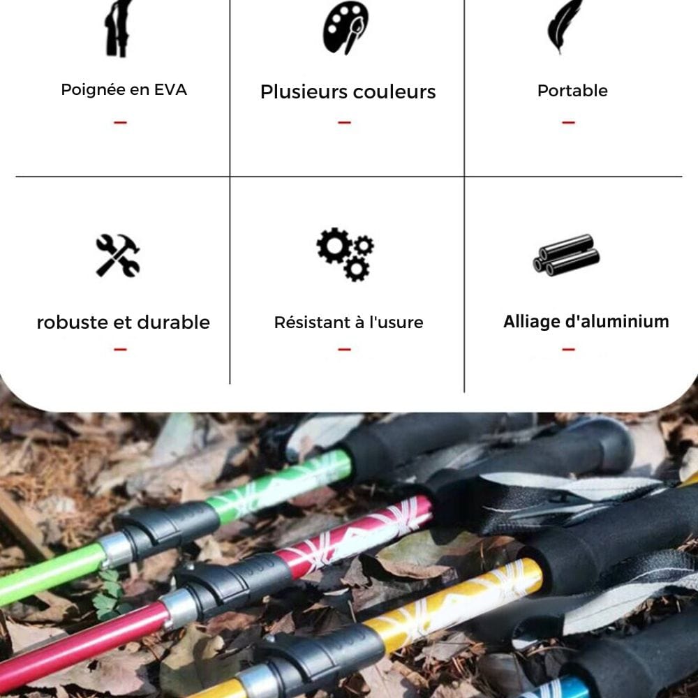 baton de marche carbone