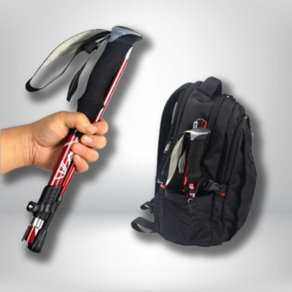 baton de marche carbone