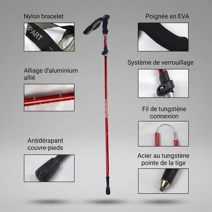 baton de marche carbone