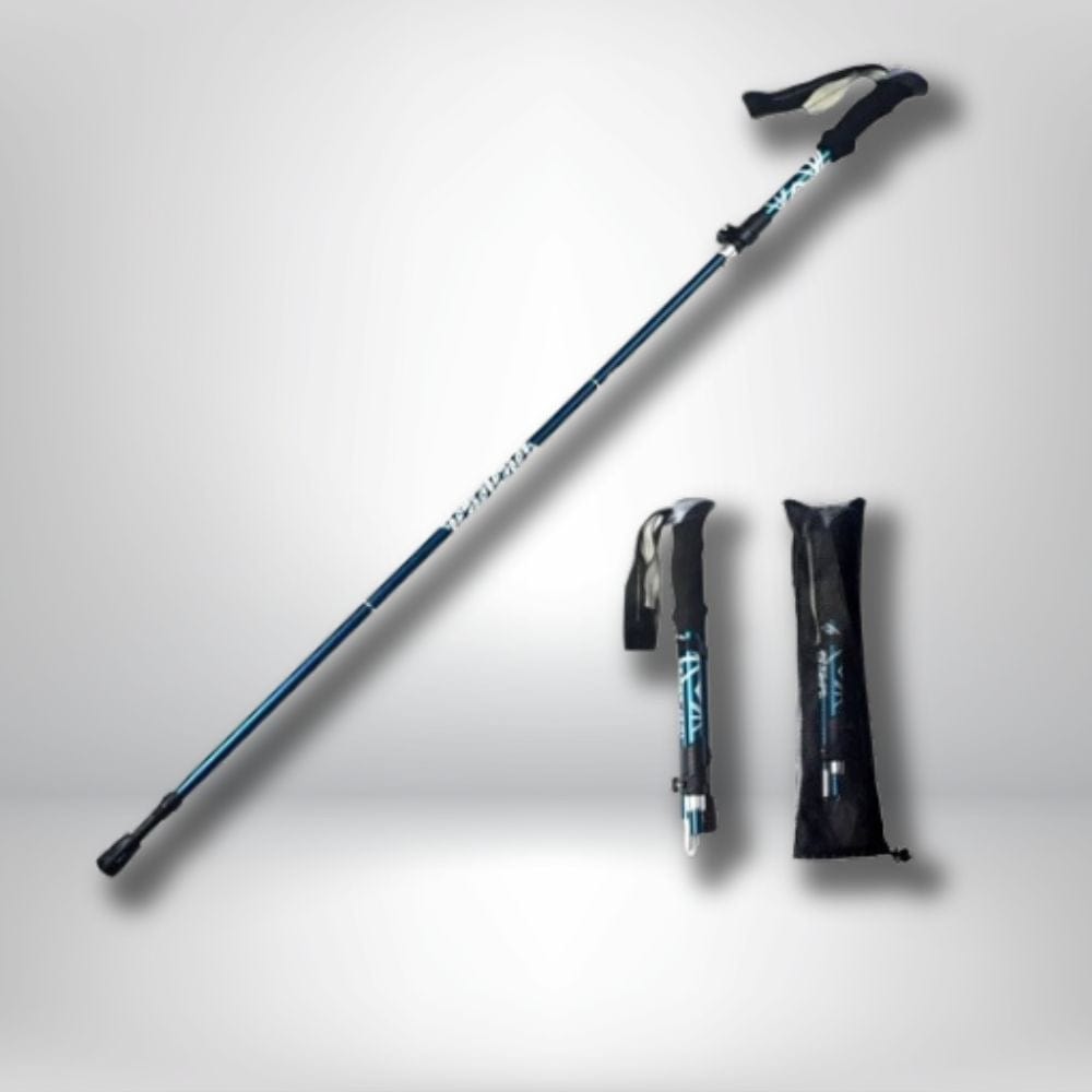 baton de marche carbone Bleu