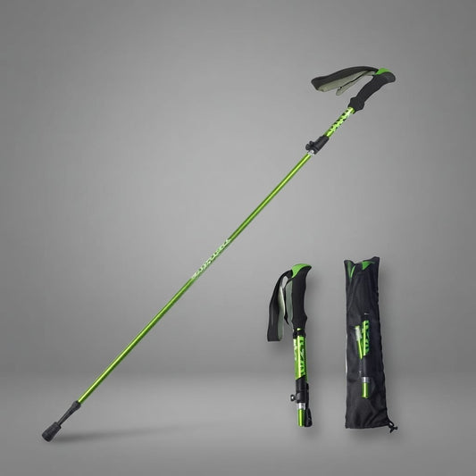 baton de marche carbone Vert