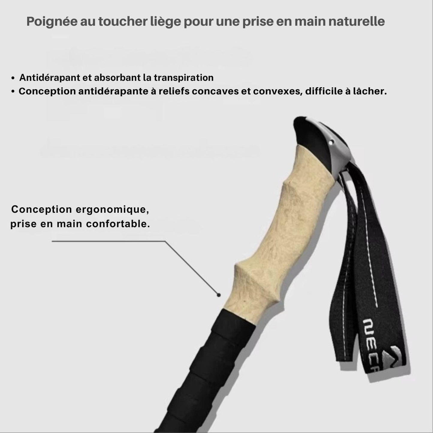 bâton de randonnée télescopique