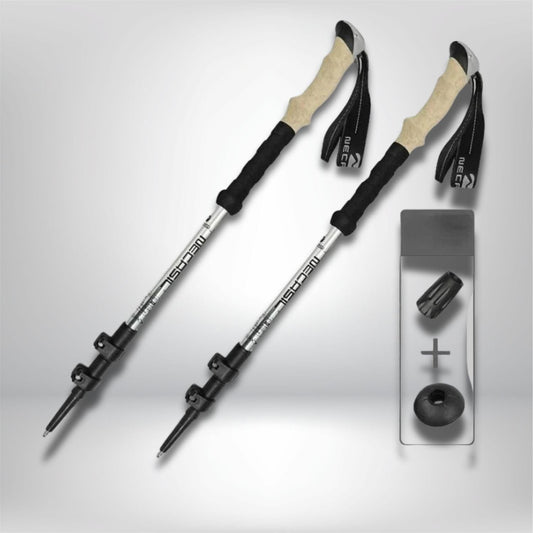 bâton de randonnée télescopique 2PCS Argent