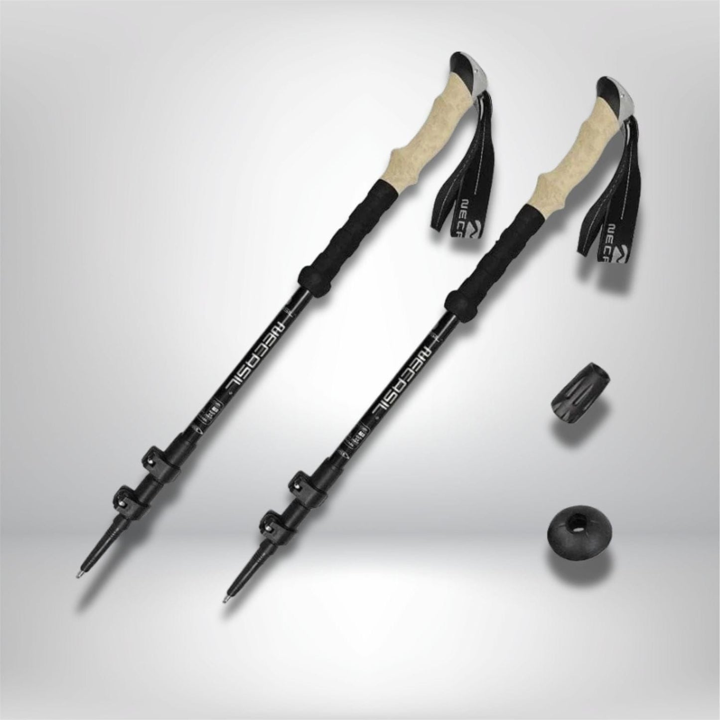 bâton de randonnée télescopique 2PCS Noir