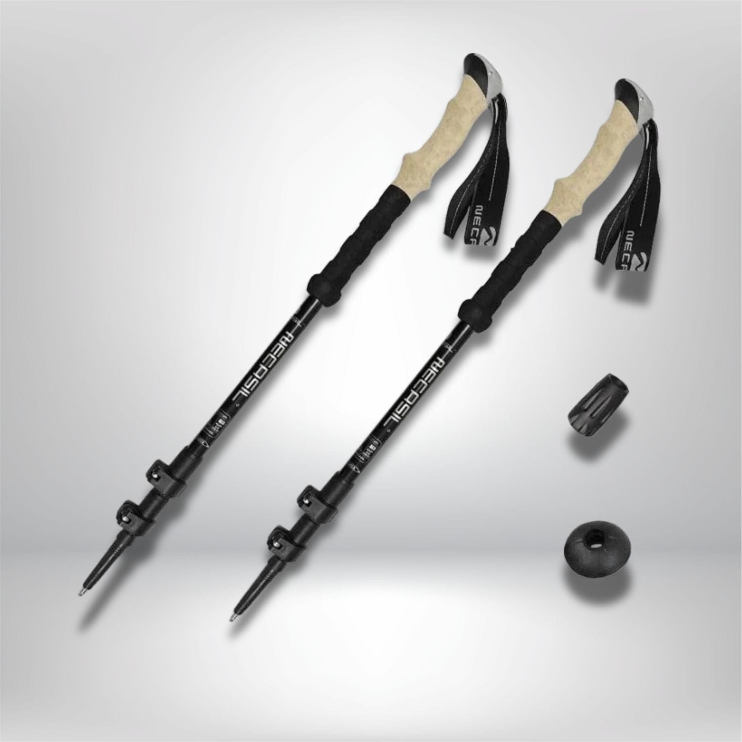 bâton de randonnée télescopique 2PCS Noir