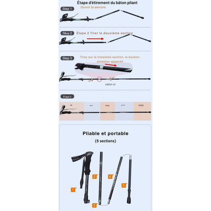 baton randonnée | montagne