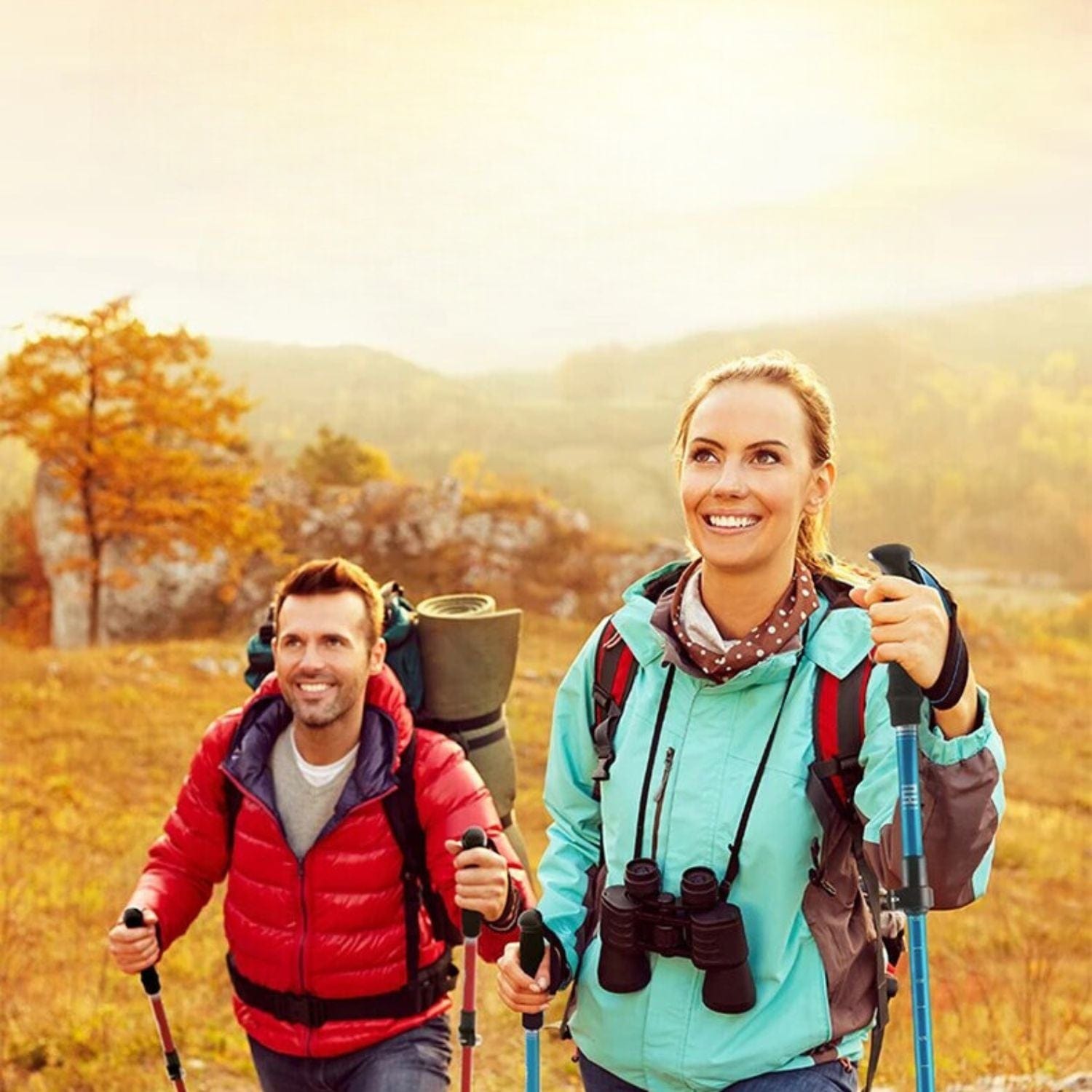 baton trekking Argent