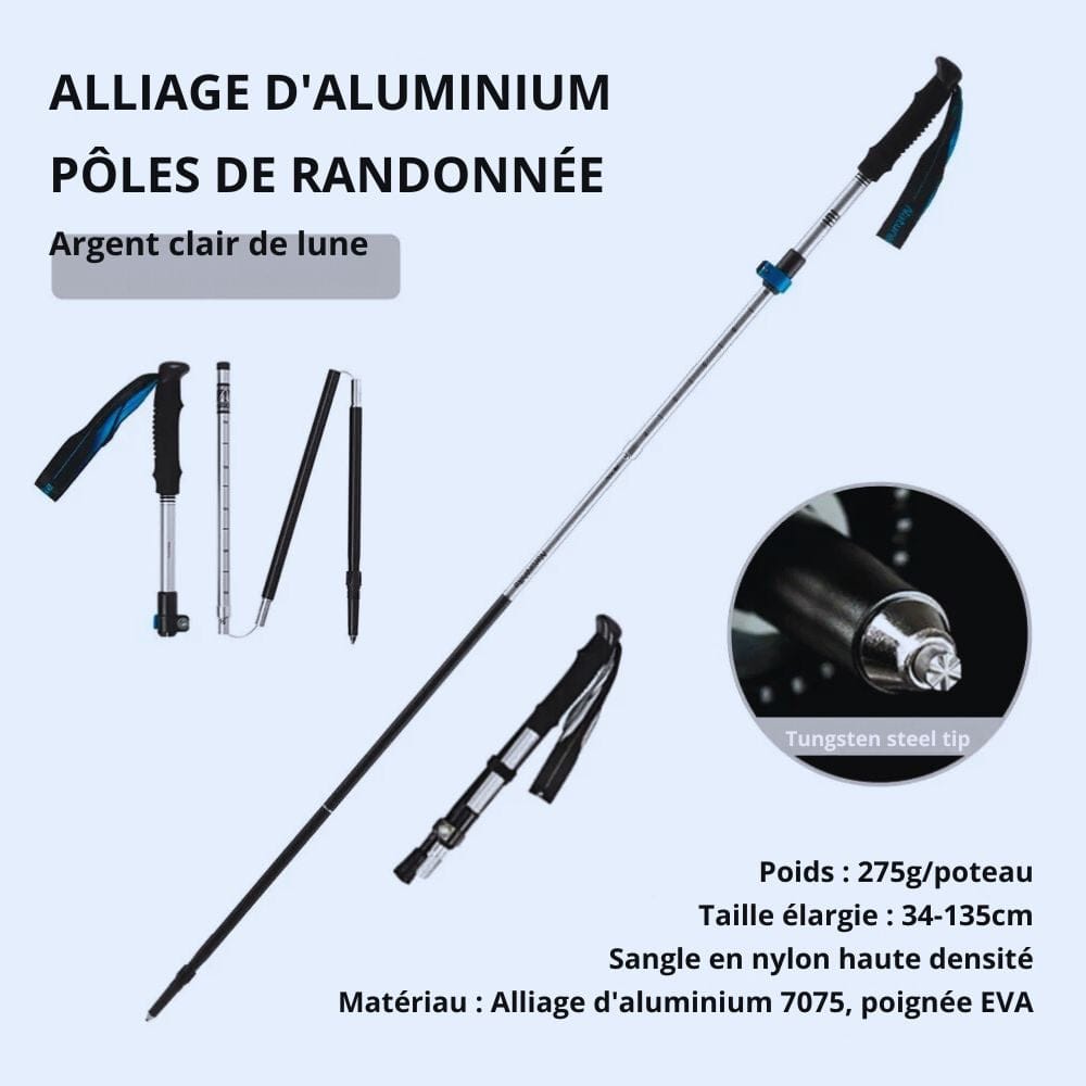baton trekking Argent