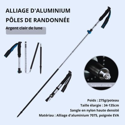 baton trekking Argent