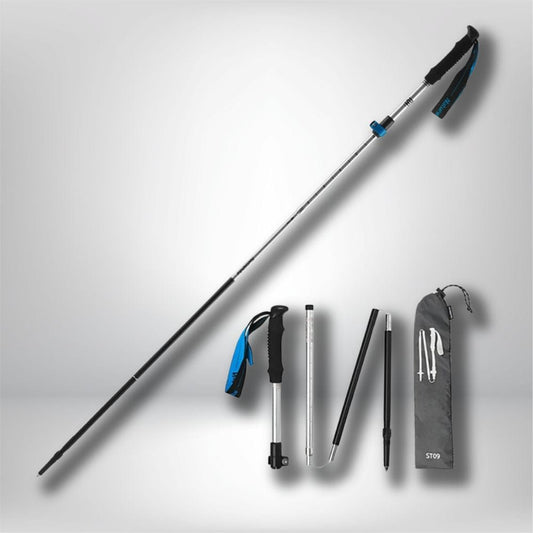 baton trekking Argent