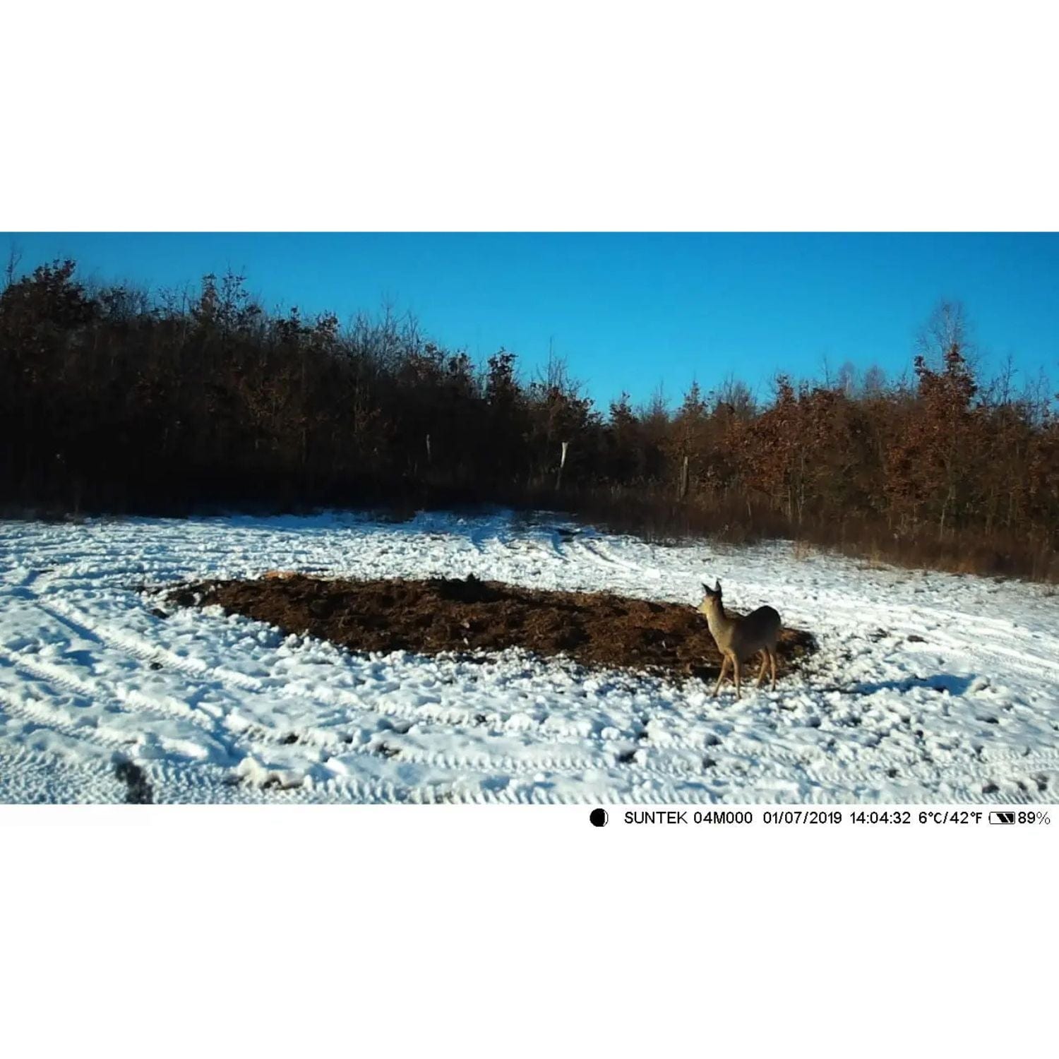 caméra de chasse batterie rechargeable