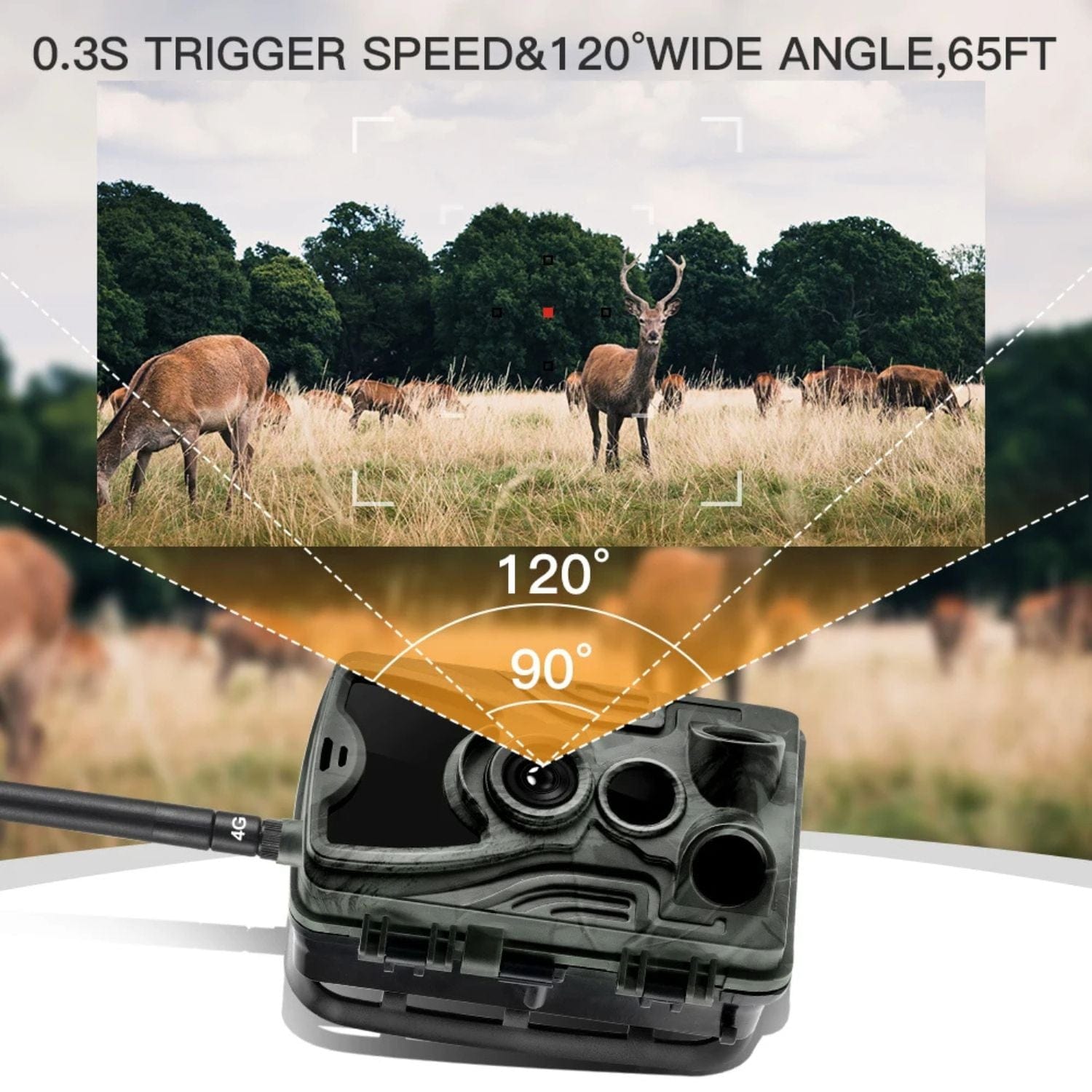 Caméra De Chasse 4G EU Version