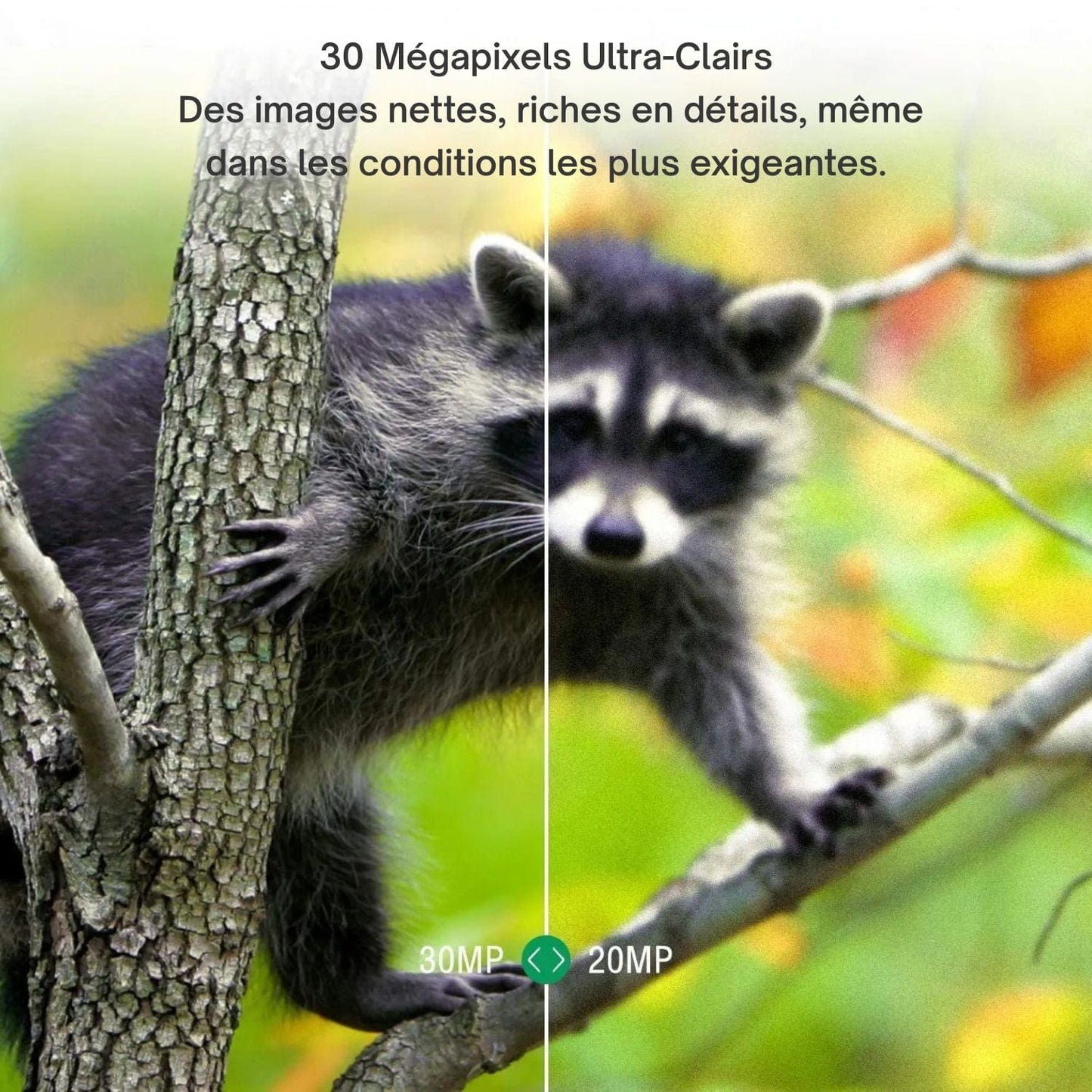 Caméra De Chasse 4G EU Version