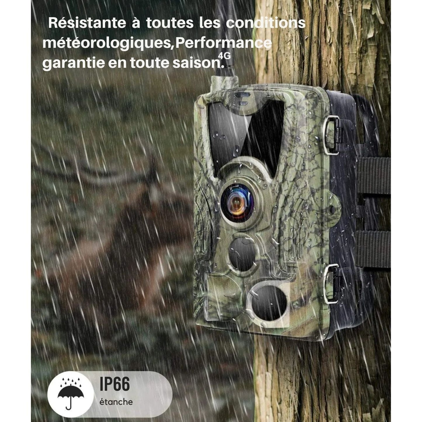 Caméra De Chasse 4G EU Version