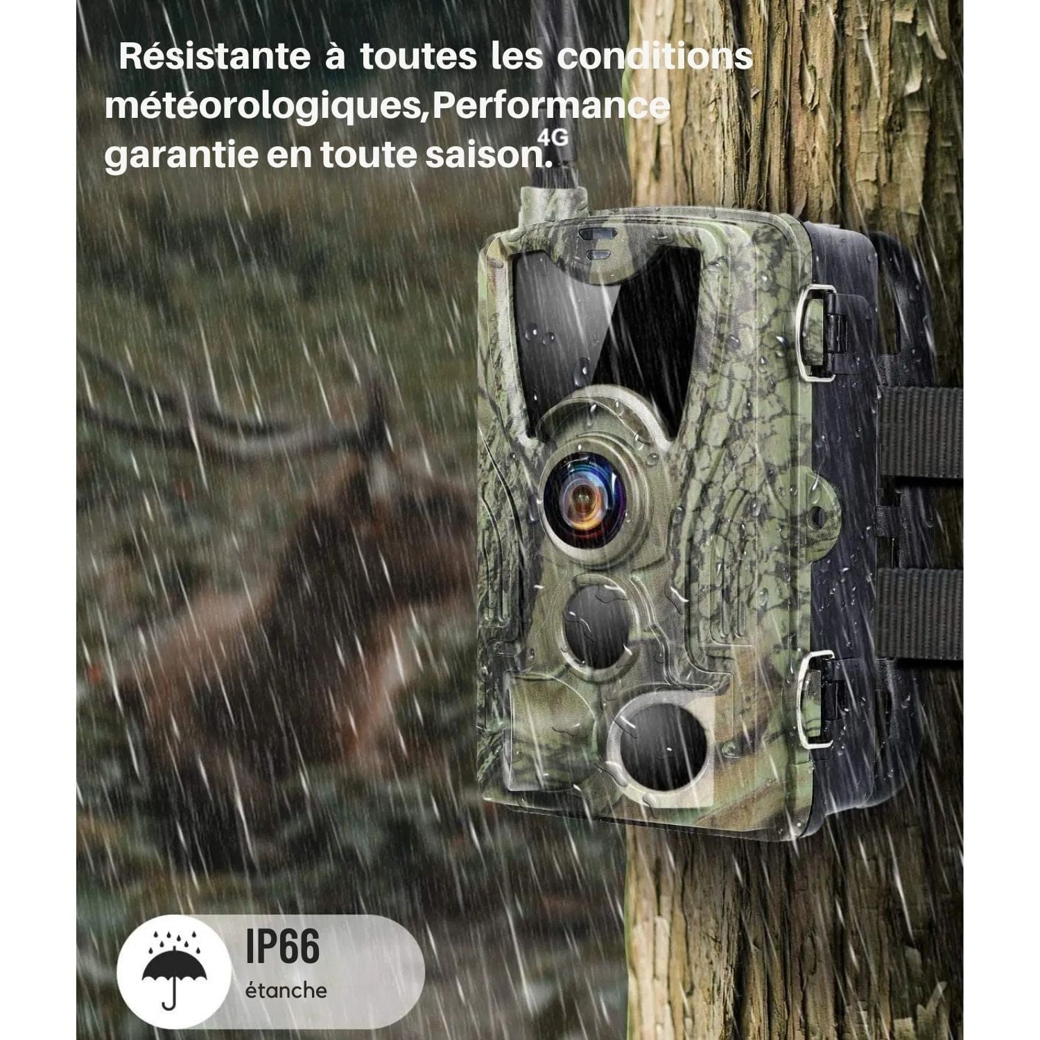 Caméra De Chasse 4G EU Version