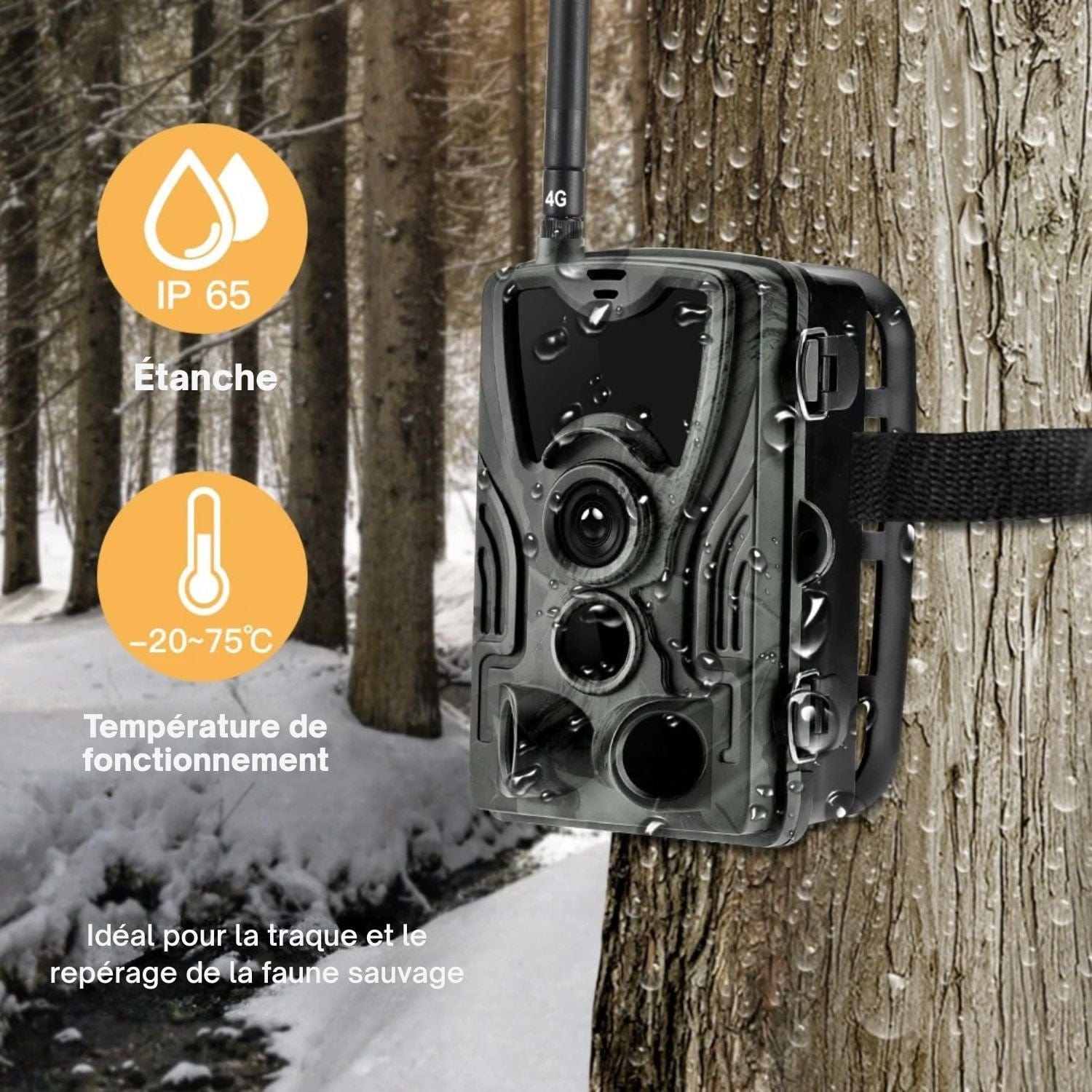 Caméra De Chasse 4G EU Version