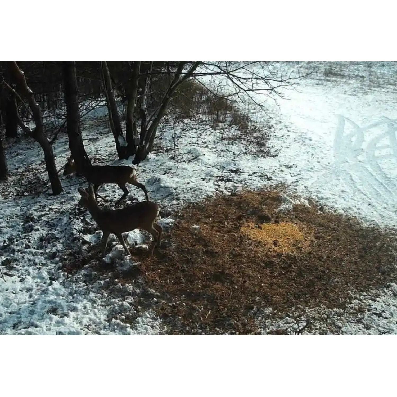 caméra de chasse batterie rechargeable Caméra chasse 20MP + batterie