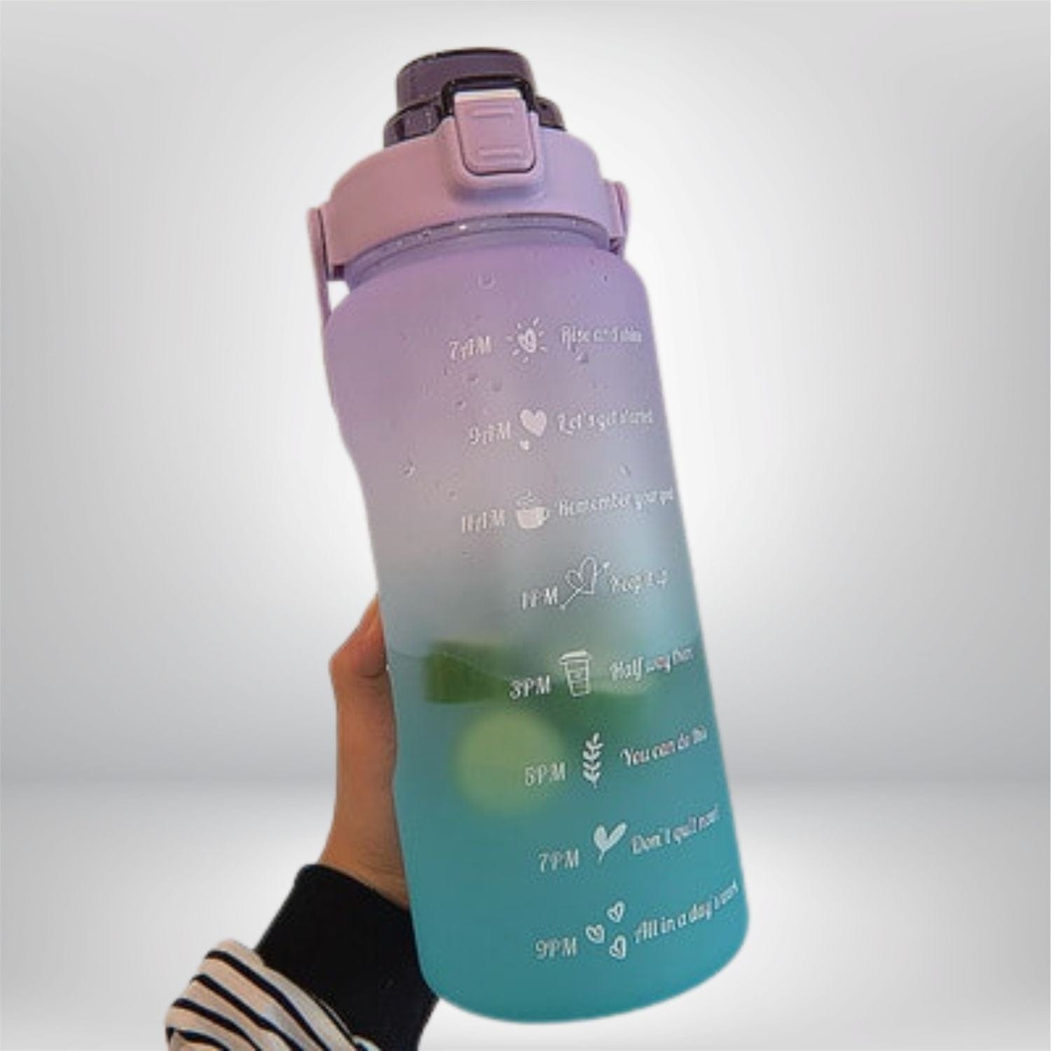 Gourde randonnée 2L 2L / 2L-VIOLET