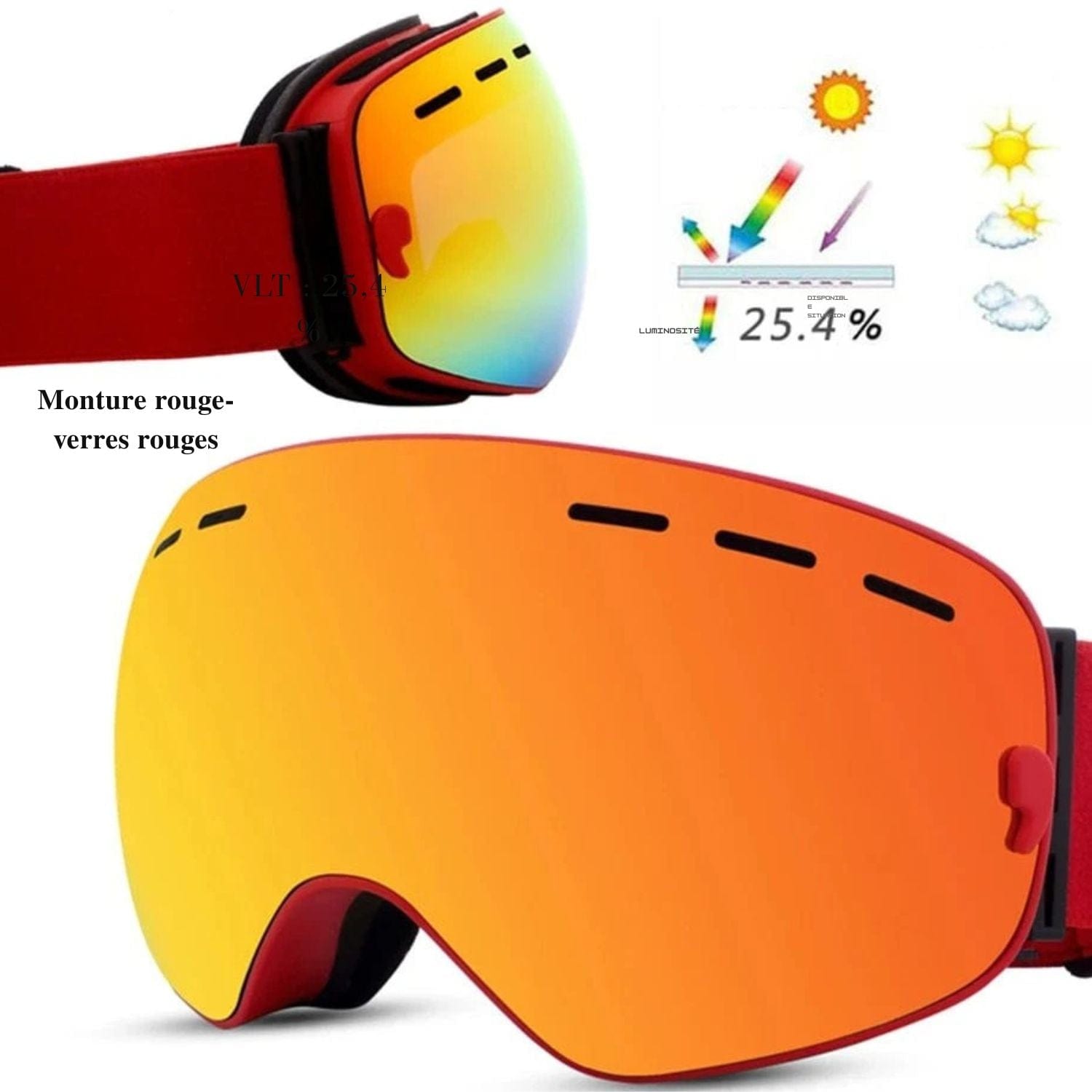 Masque de Ski interchangeable