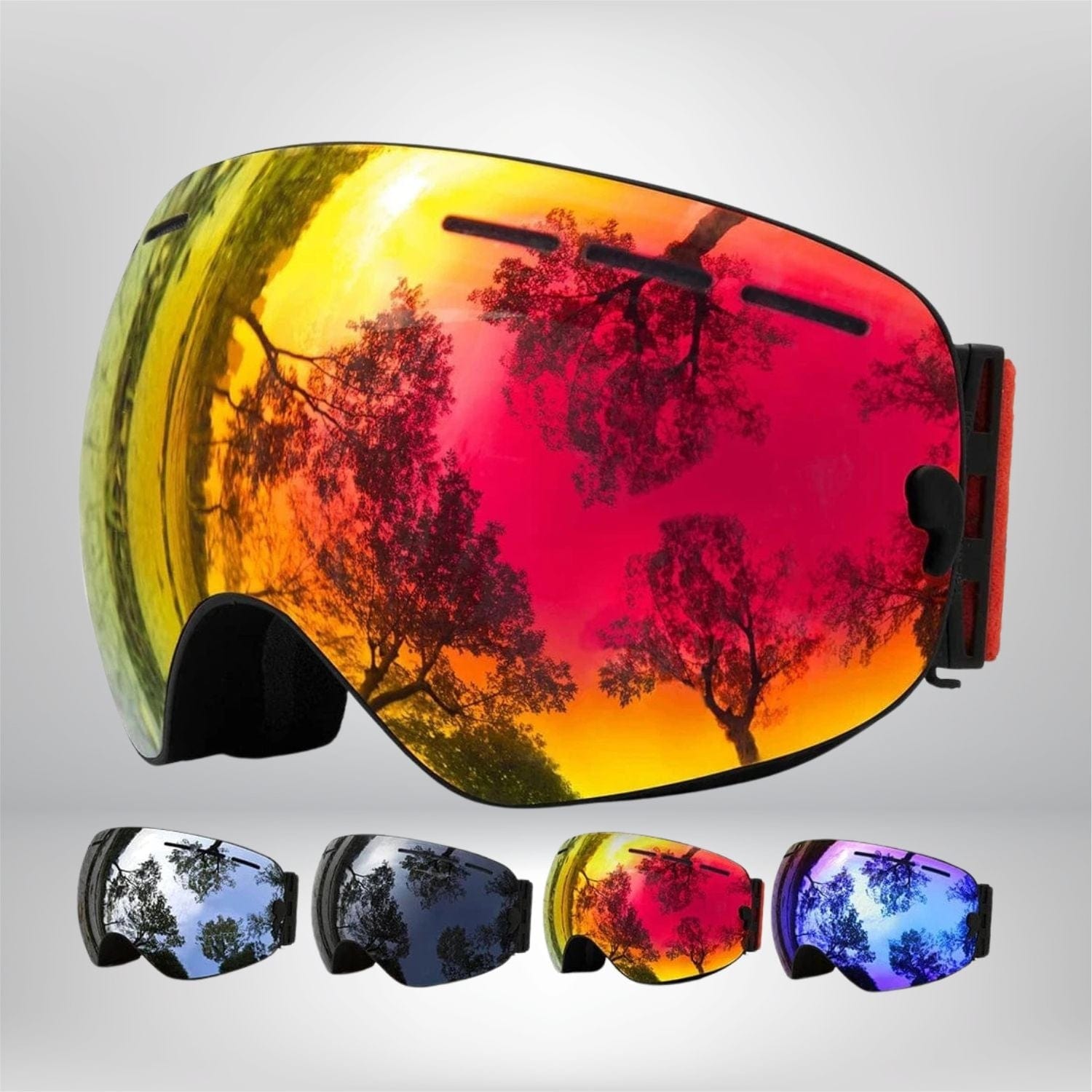 Masque de Ski interchangeable