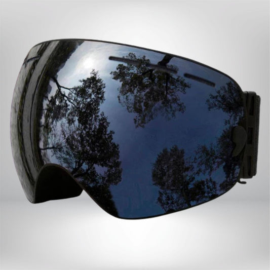 Masque de Ski interchangeable Noir