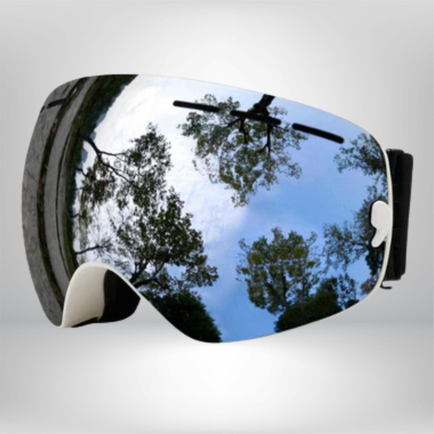 Masque de Ski interchangeable Silver