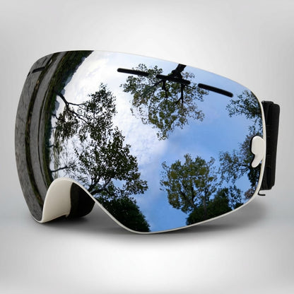 Masque de Ski interchangeable Silver