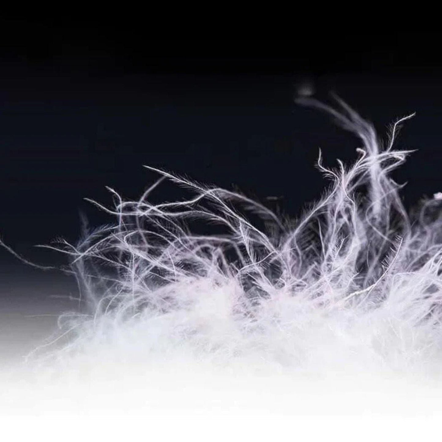 Sac de couchage trekking