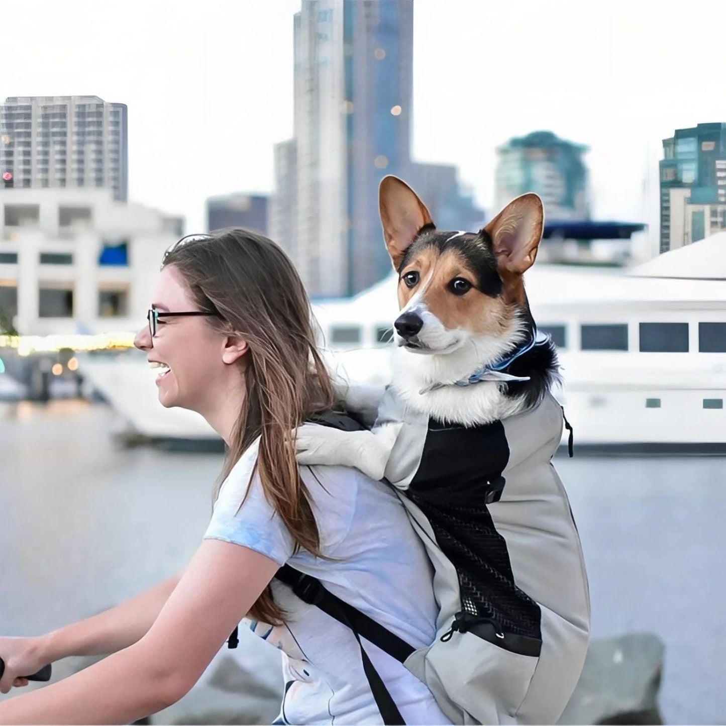 Sac Porte Chien Randonnée