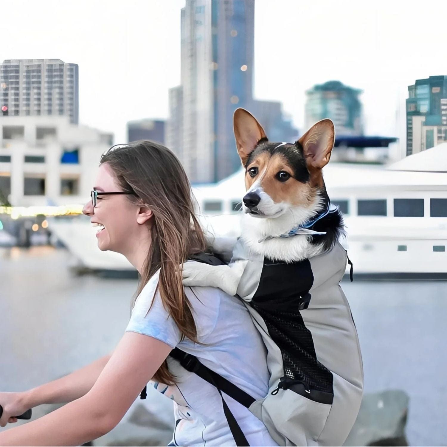 Sac Porte Chien Randonnée